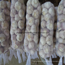 2016 New Crop Fresh Garlic From China (top quality)